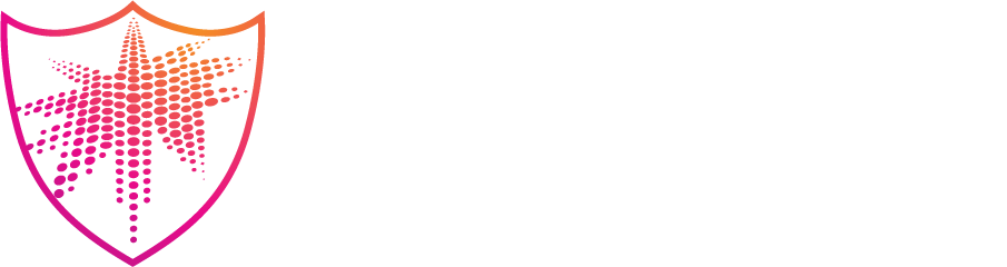 Understanding the Basics of Application Security